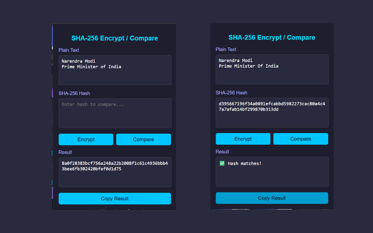 SHA-256 Encrypt / Decrypt Tool - Screenshot 3 showing product features and functionality