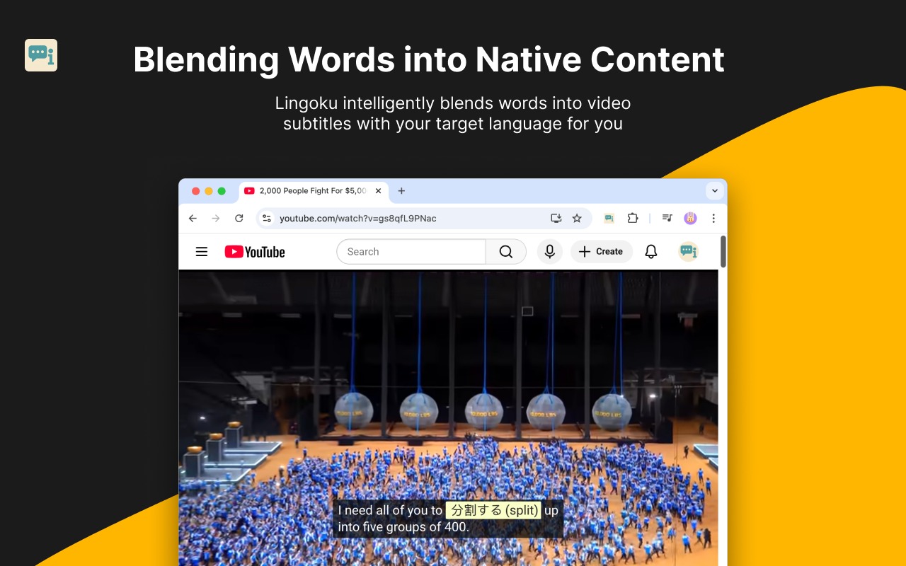 Lingoku gallery image