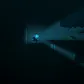 Reveal The Deep
