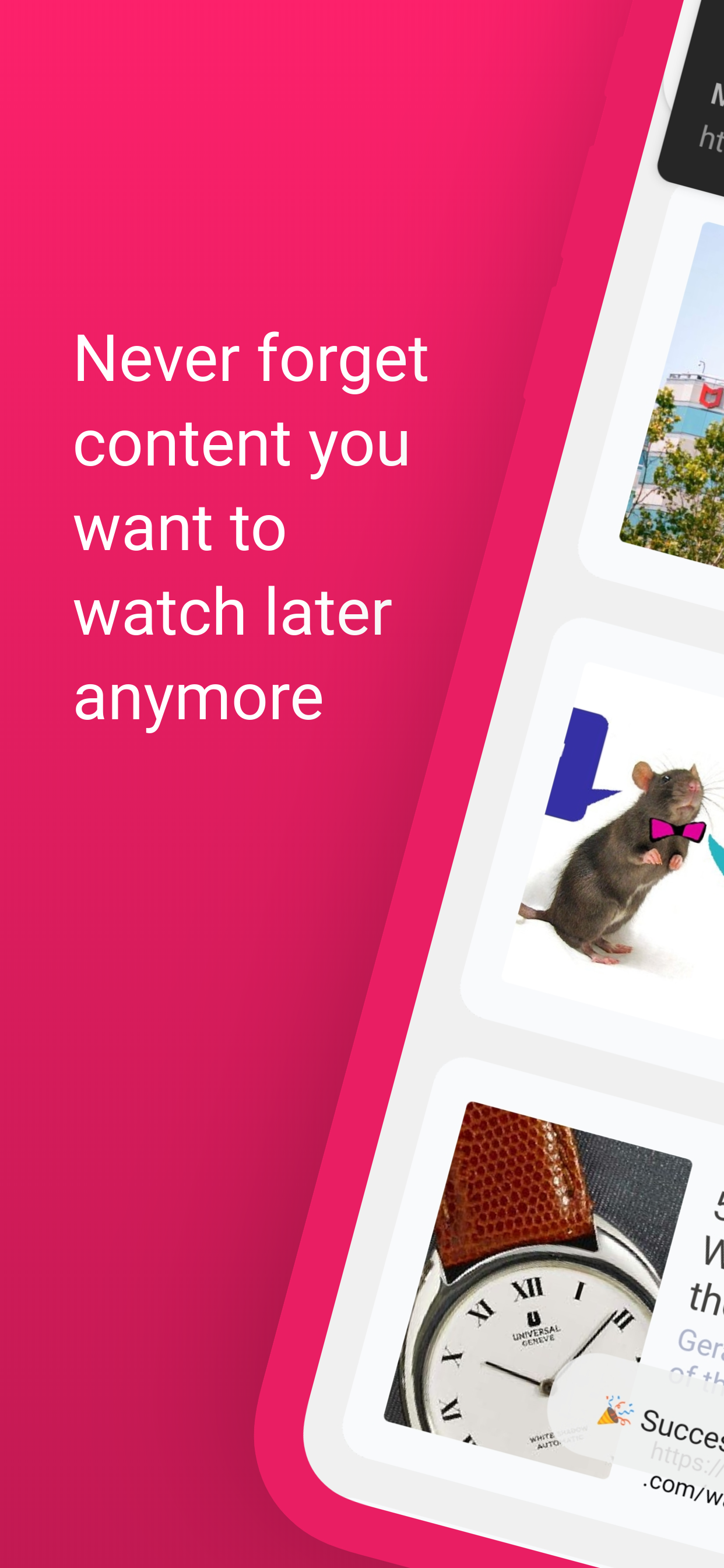 notica gallery image