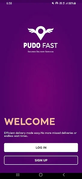 Pudofast - Screenshot 2 preview