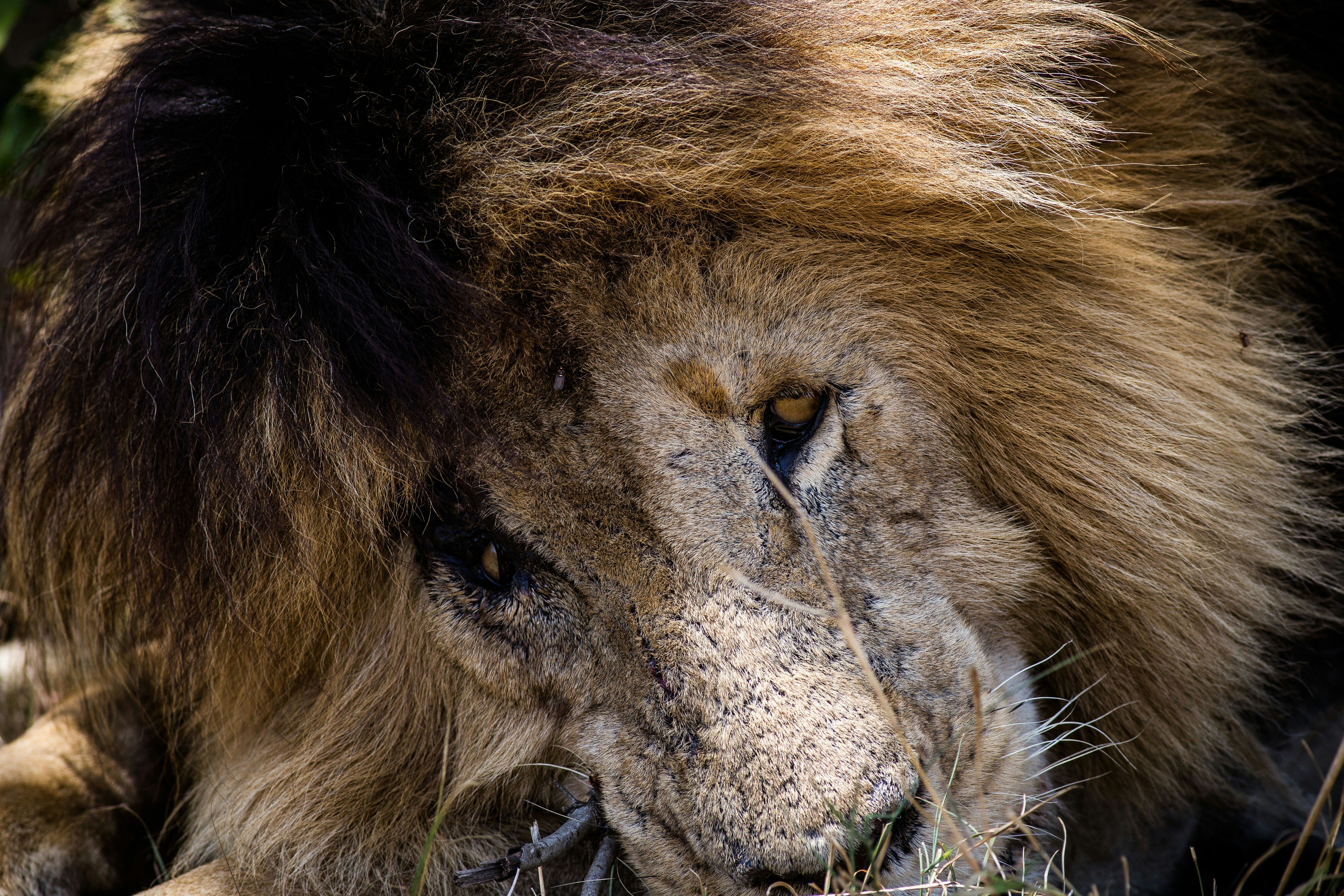 Kenya Bush and Beach Safari Holiday gallery image