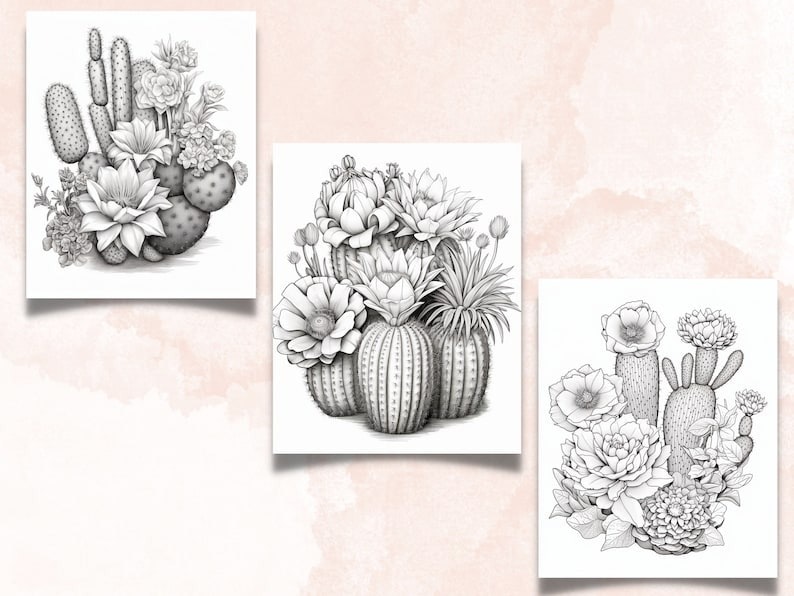 35 livres de coloriage roses et cactus media 4