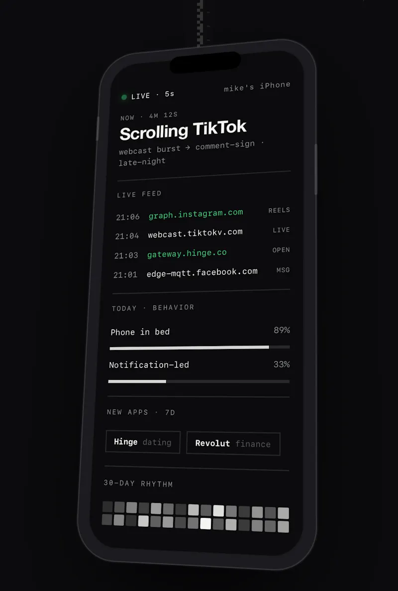 DNSight screenshot 3