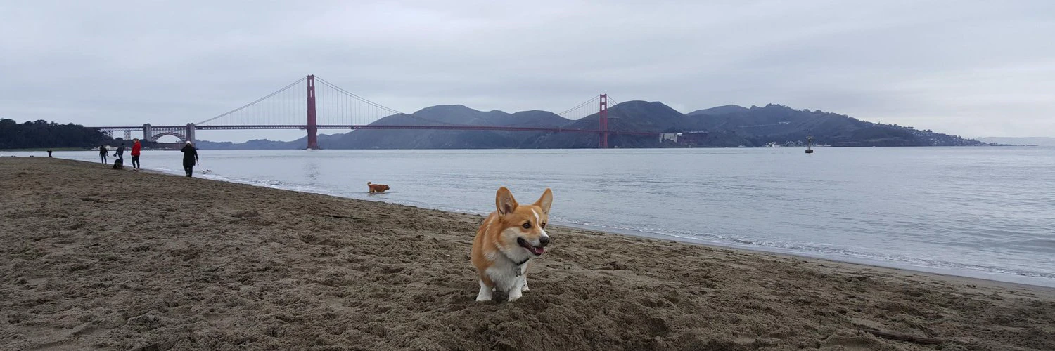 Jordan Fellows cover