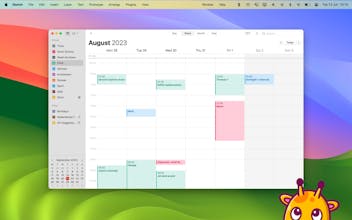 Posture Pal gallery image