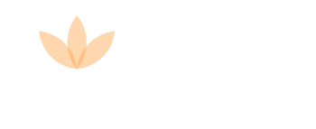 Vivada gallery image