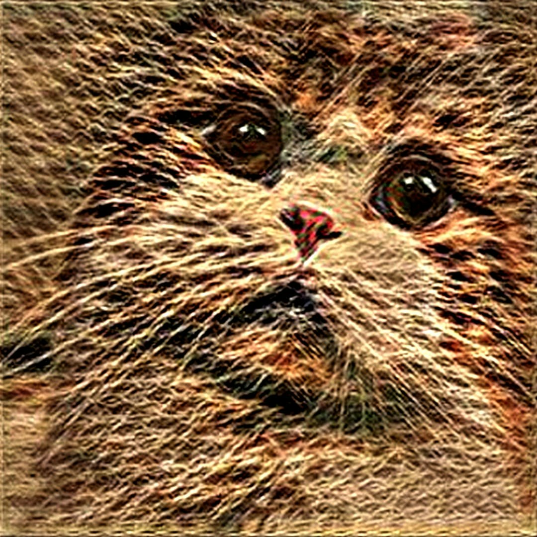 RariCats 1000 Video NFTs Collection gallery image