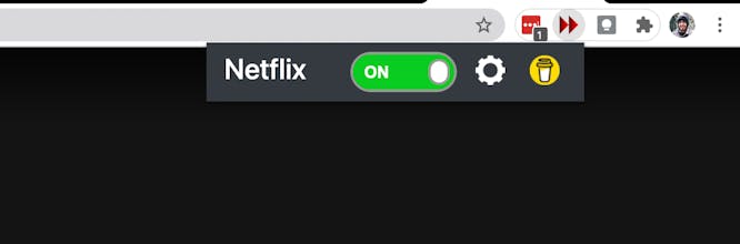 SkIntro gallery image