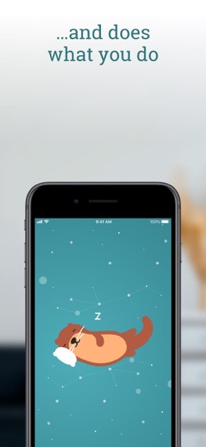 Significant Otter gallery image