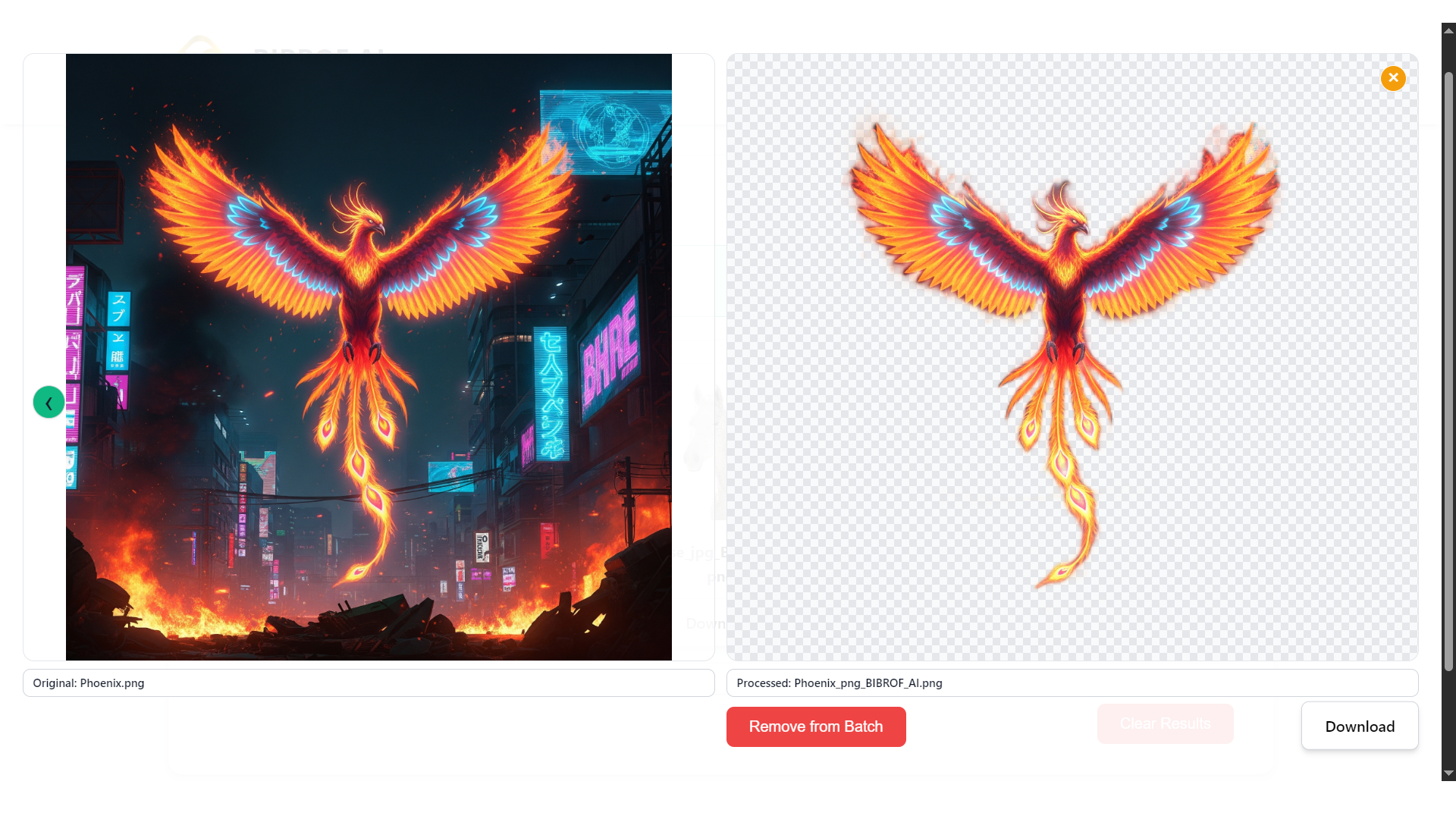 BIBROF AI gallery image