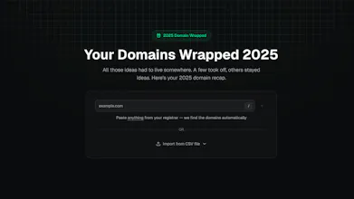 Your Domains Wrapped 2025 gallery image