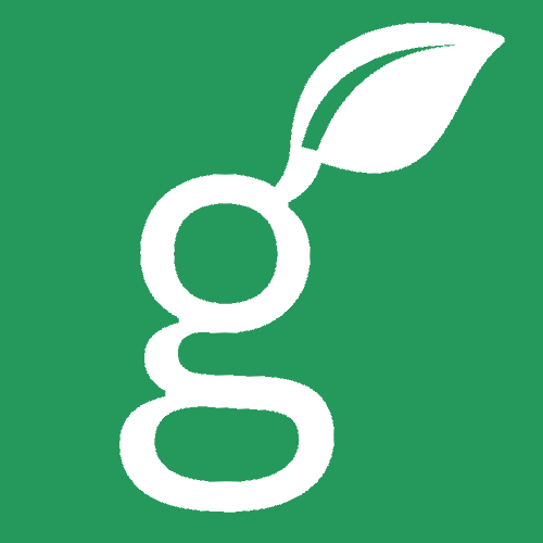 Greenvy.store - Een milieuvriendelijke e-commerce media 1