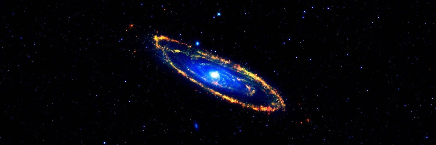 Erik Bjäreholt cover