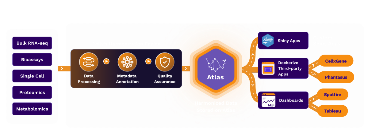 Elucidata gallery image