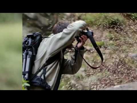 CamBuddy Pro gallery image