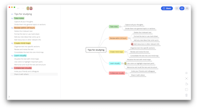 Brainio gallery image