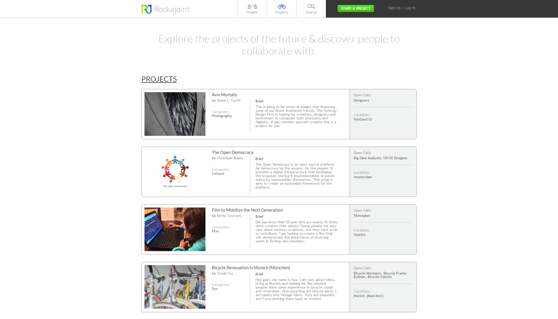 Rockajoint gallery image