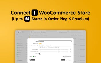 Order Ping X gallery image