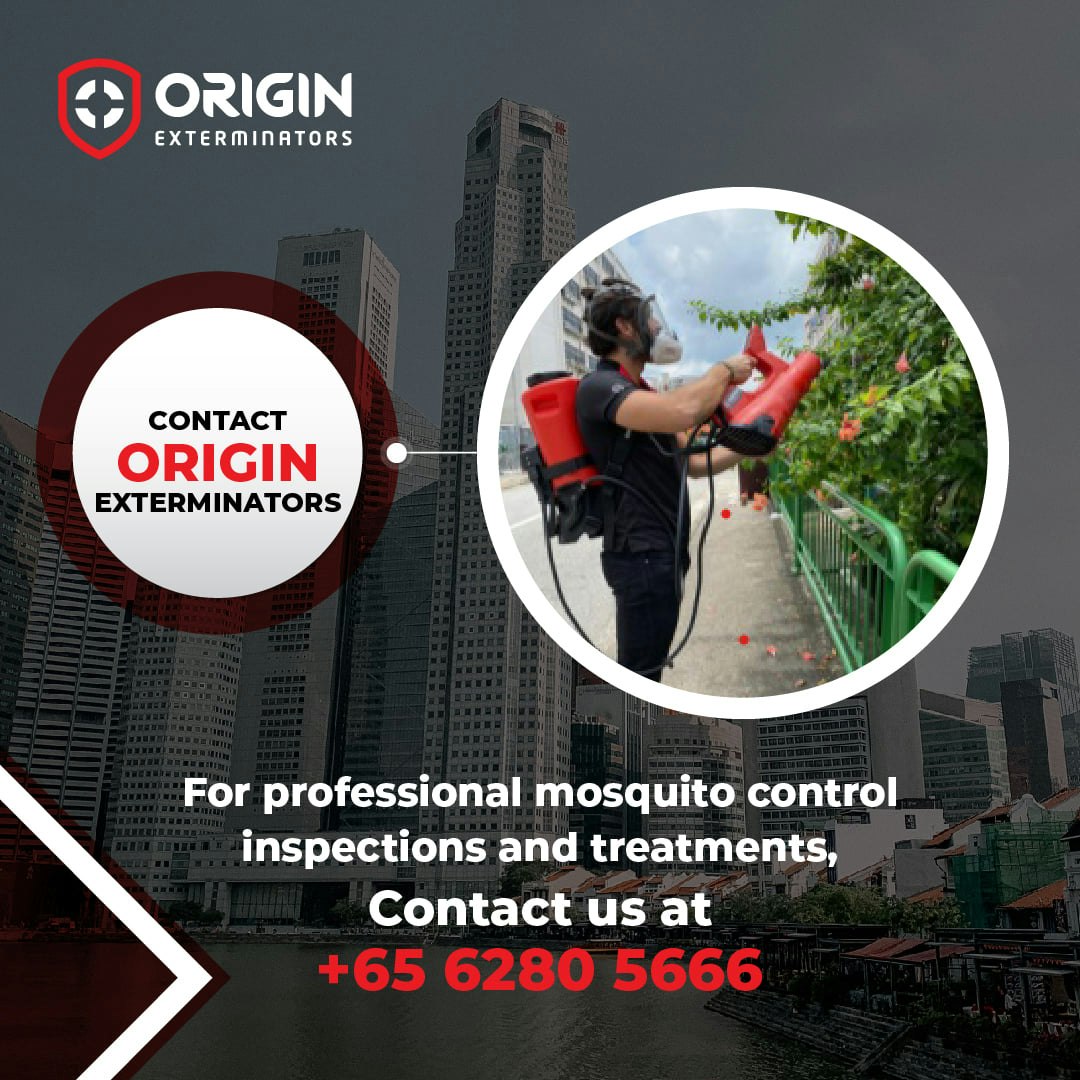 Pest Control Services Singapore gallery image