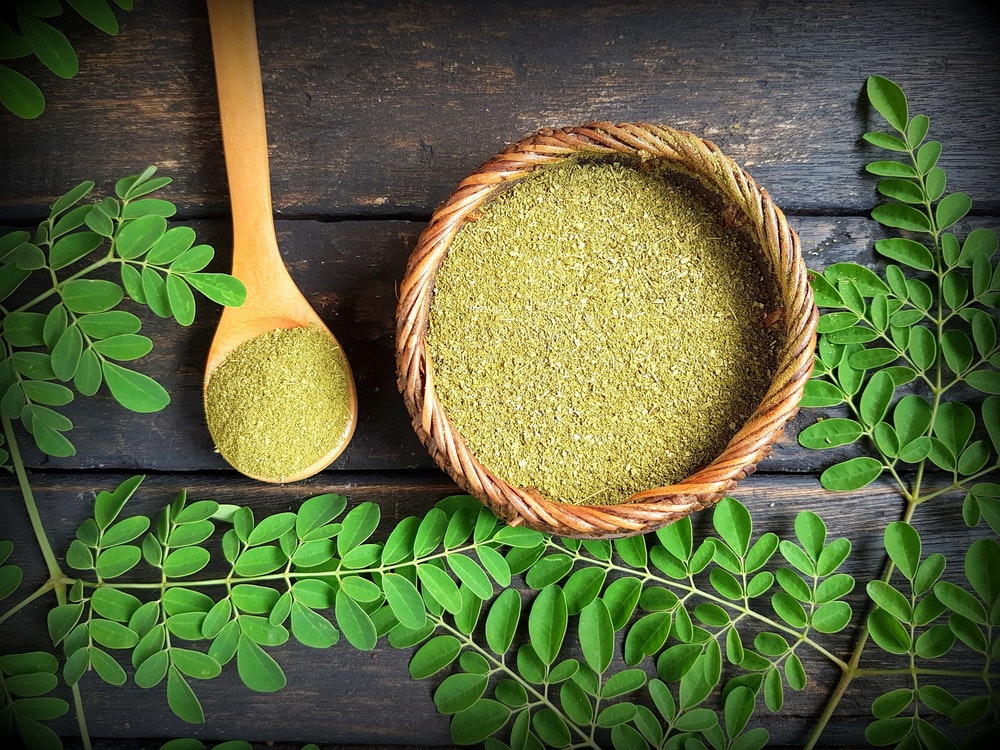 polvo de moringa media 1