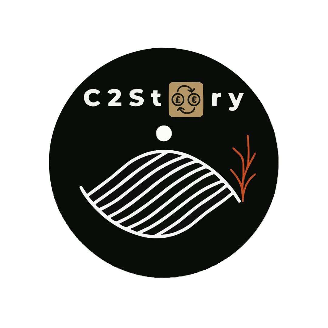 C2Story logo