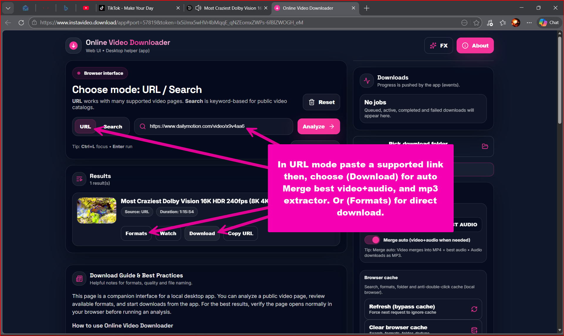 Online Video Downloader gallery image