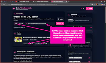 Online Video Downloader gallery image