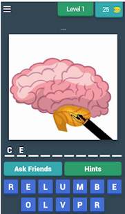 Human body organs gallery image