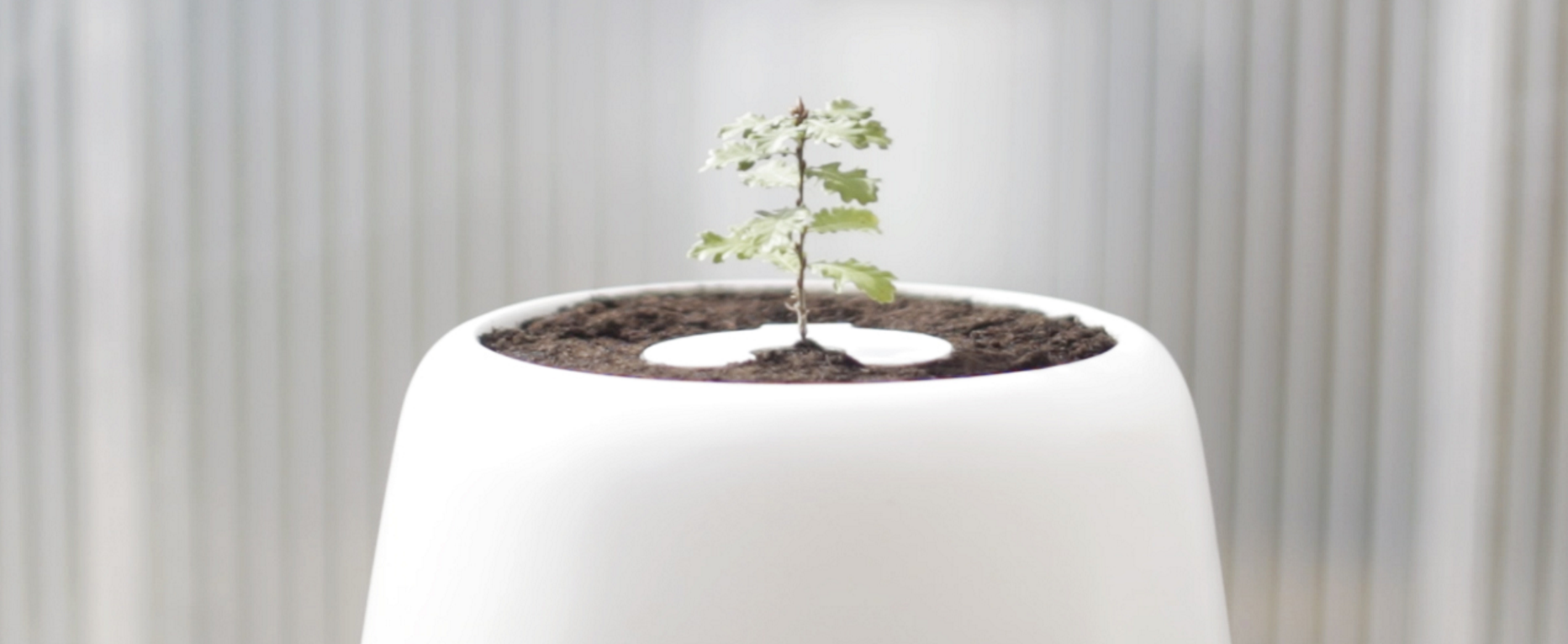 Bios Urn gallery image