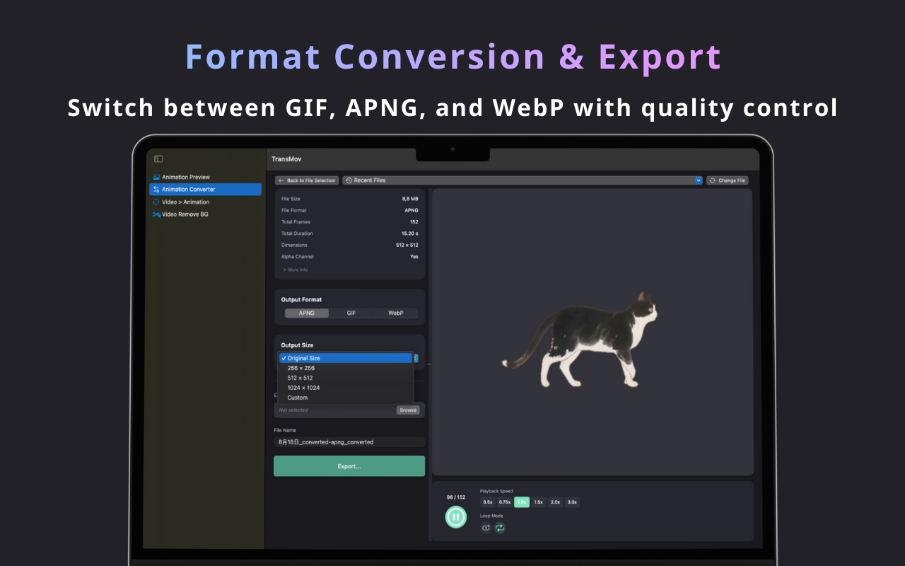 TransMov - Screenshot 4 showing product features and functionality