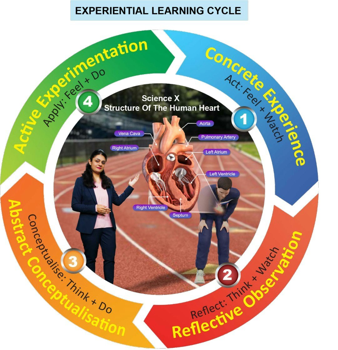 Apprendimento esperienziale