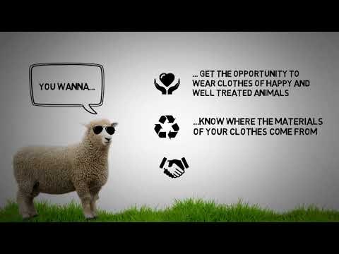 Shared Sheep gallery image