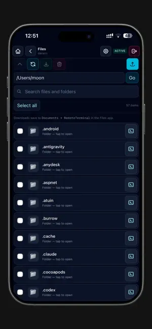 Remote Terminal screenshot