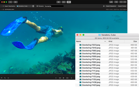 Videoloupe for Mac gallery image
