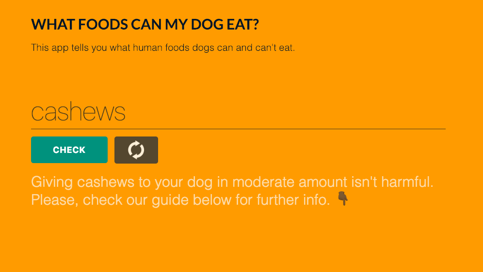 Foods Dogs Can Eat gallery image