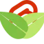 Sveaflet