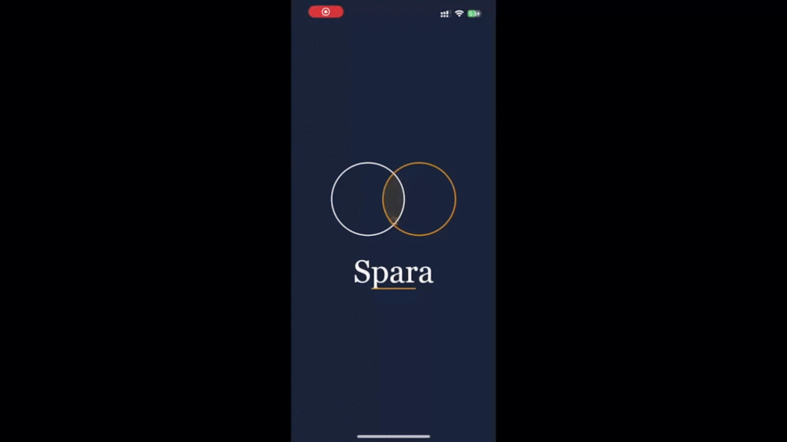 Spara Budget screenshot 1 (video preview)
