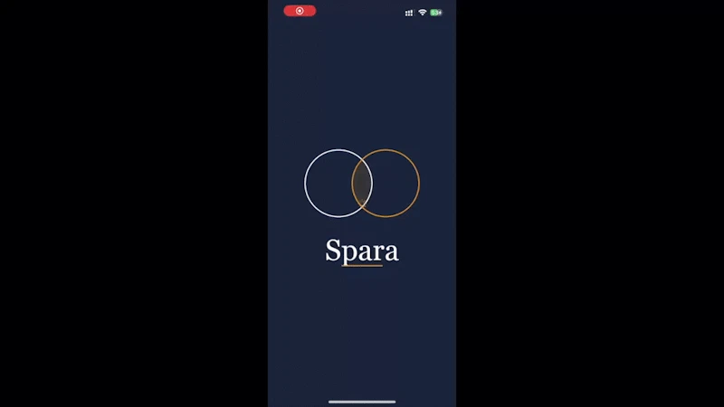 Spara Budget screenshot 1 (video preview)