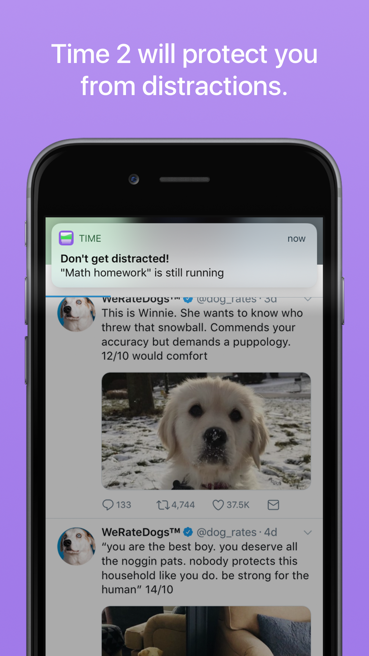 Time 2 gallery image