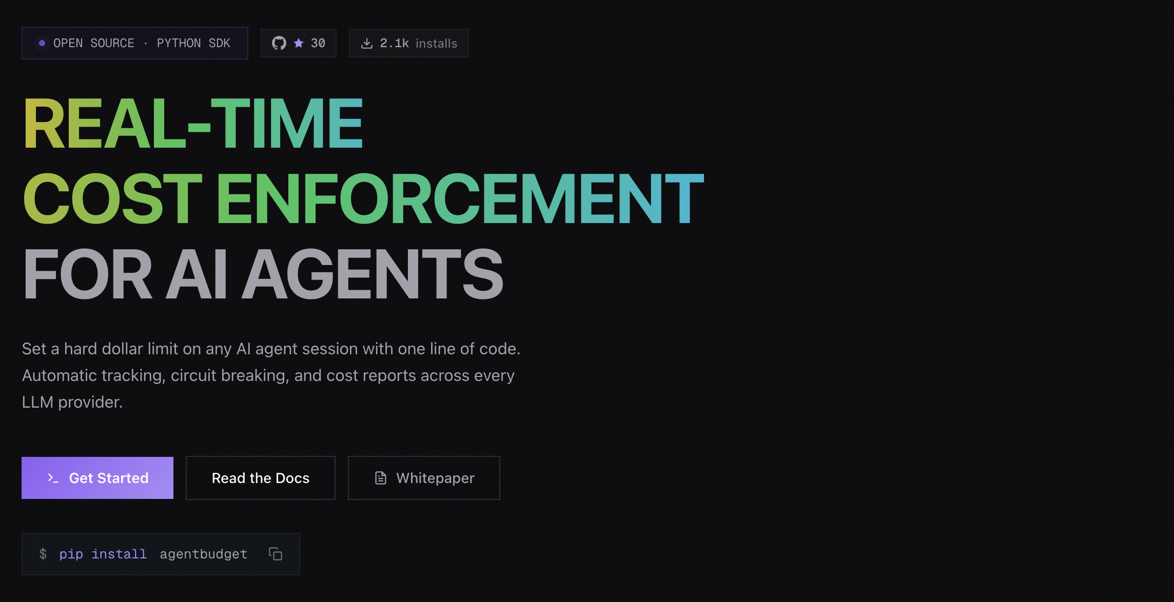 AgentBudget media 5