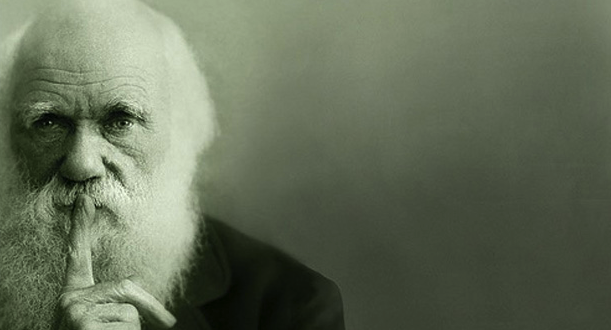 The Origin of Species gallery image