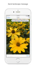 Messee gallery image