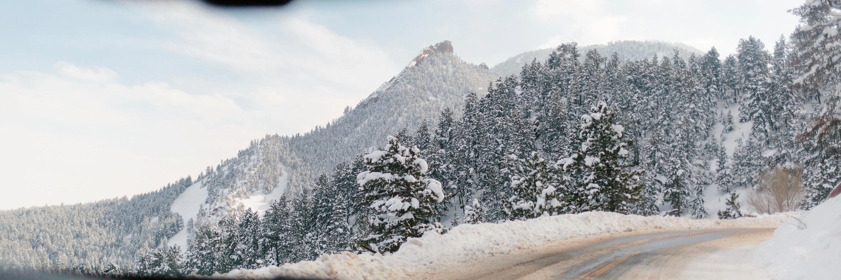 Cassie Thill Stewart cover