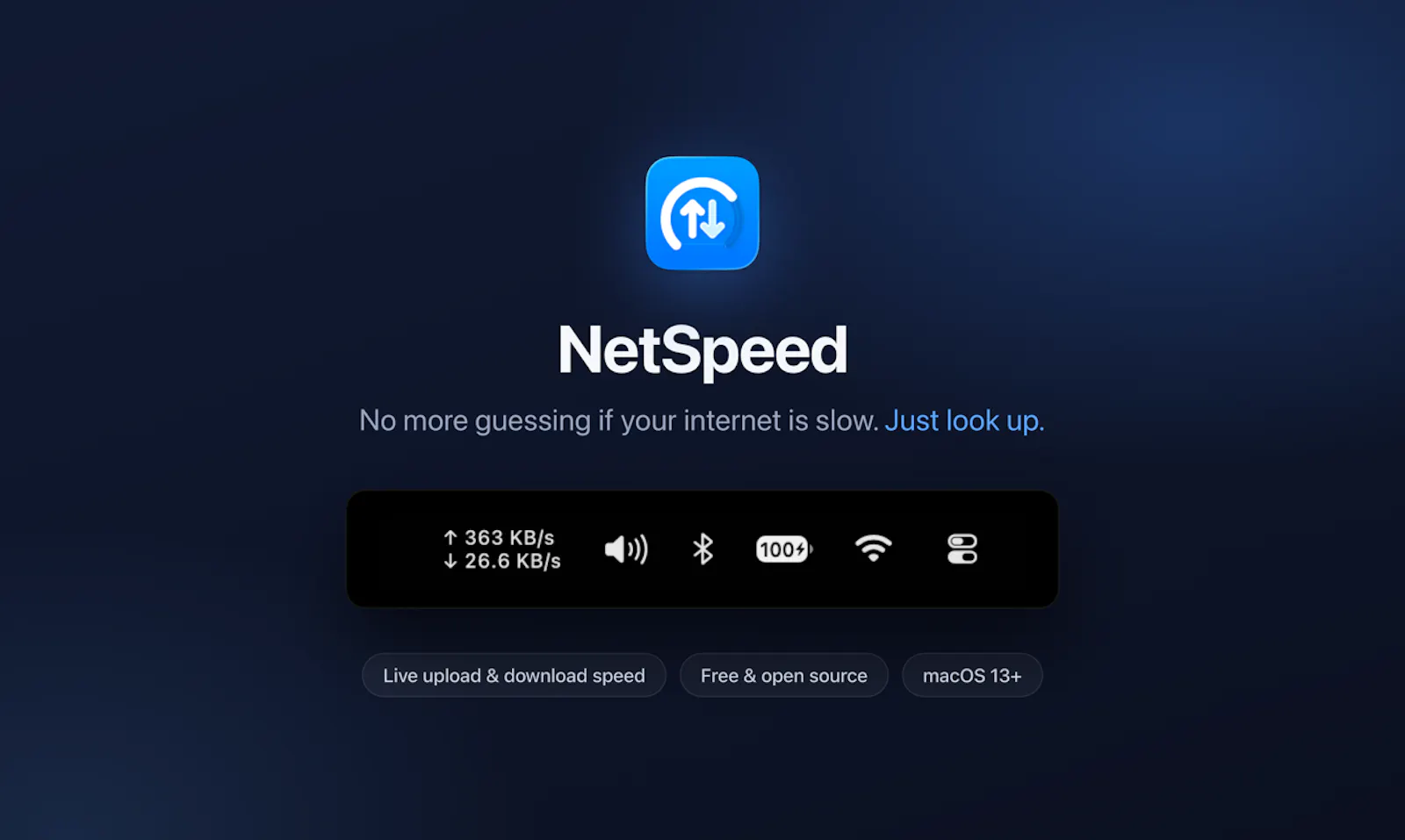 NetSpeed screenshot 1