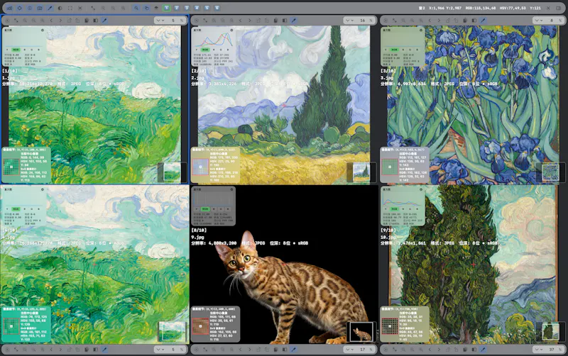 Domino Image Viewer screenshot 3