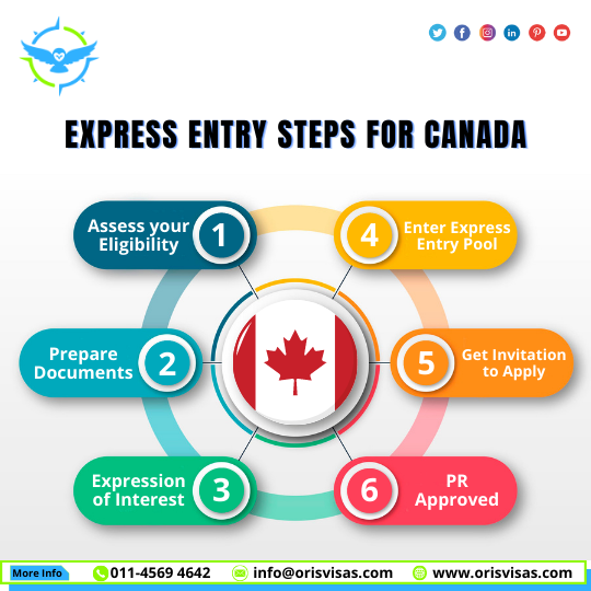 Express Entry steps for Canada