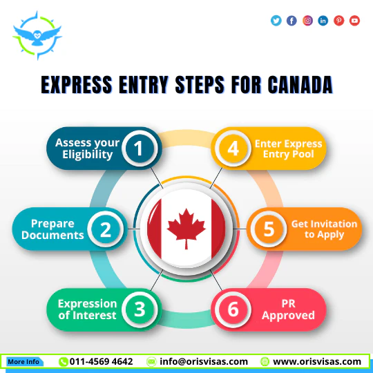 Express Entry steps for Canada