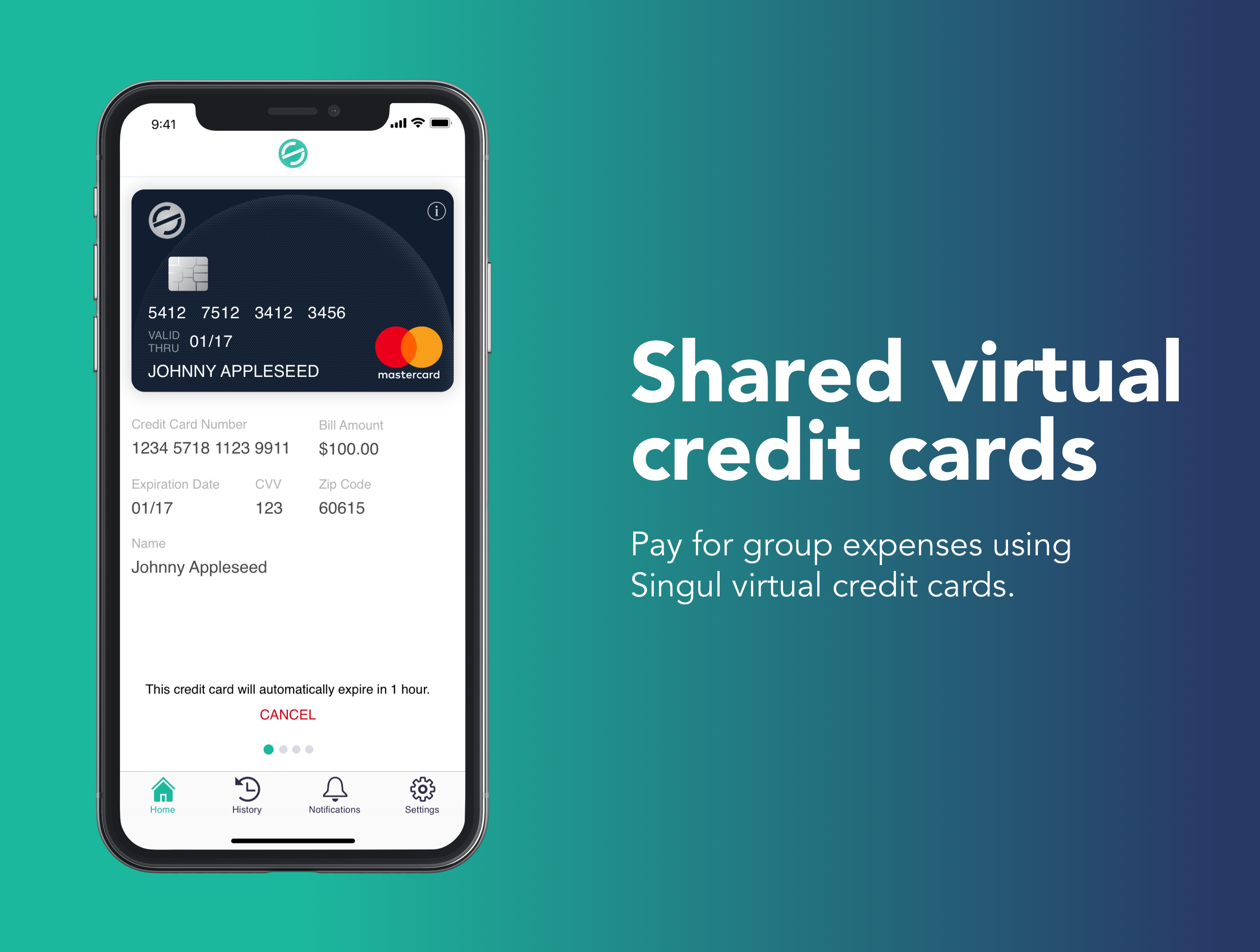 Singul gallery image