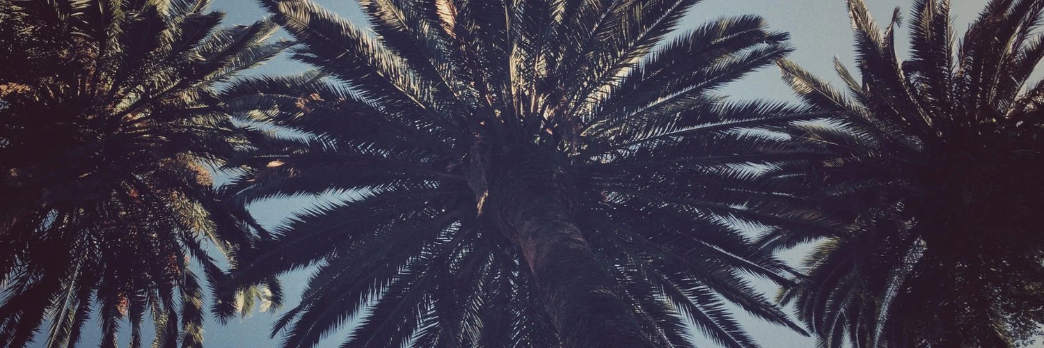 Gifford Nowland cover